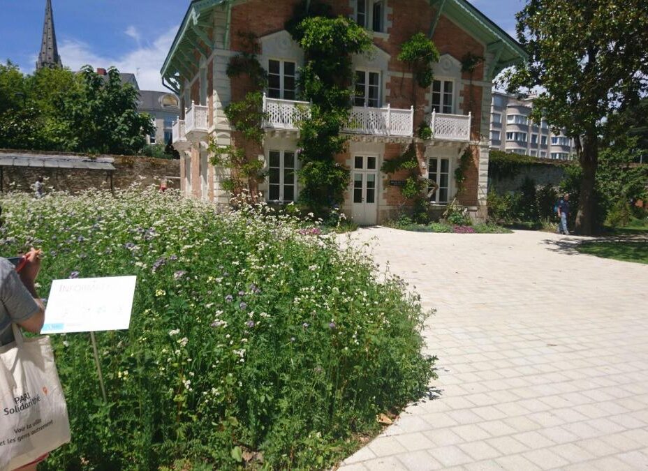 {{brizy_dc_image_alt entityId=