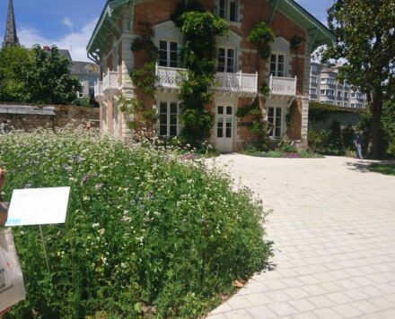 {{brizy_dc_image_alt entityId=